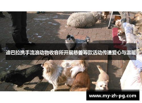 迪巴拉携手流浪动物收容所开展慈善筹款活动传递爱心与温暖