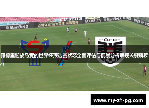 佩德里迎战马竞的世界杯预选赛状态全面评估与前景分析表现关键解读 佩德里迎战马竞的世界杯预选赛状态全面评估与前景分析表现关键解读